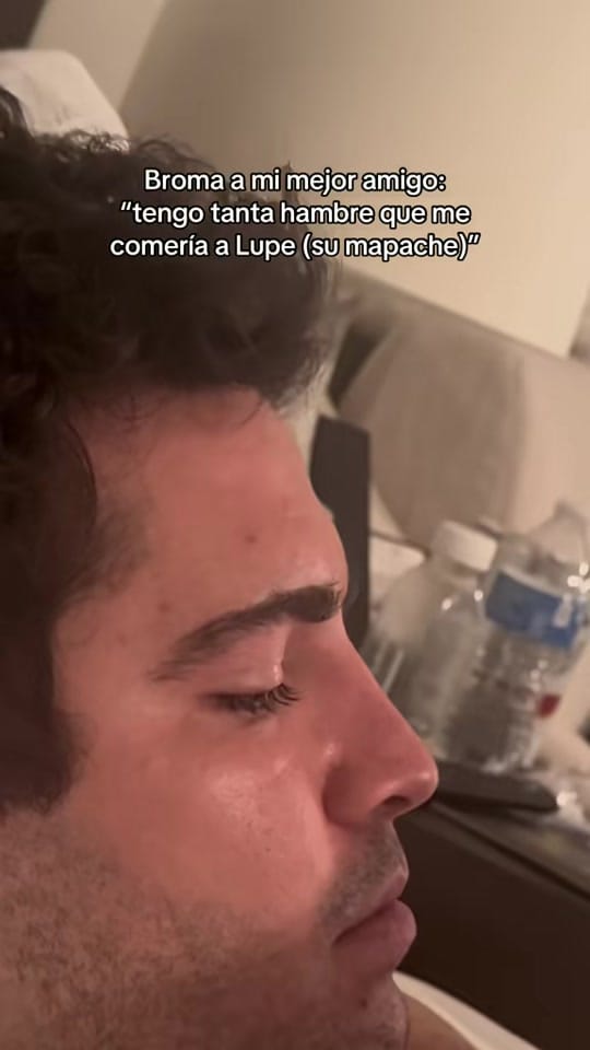 Post 9 by Flavia Martin on TikTok (video)