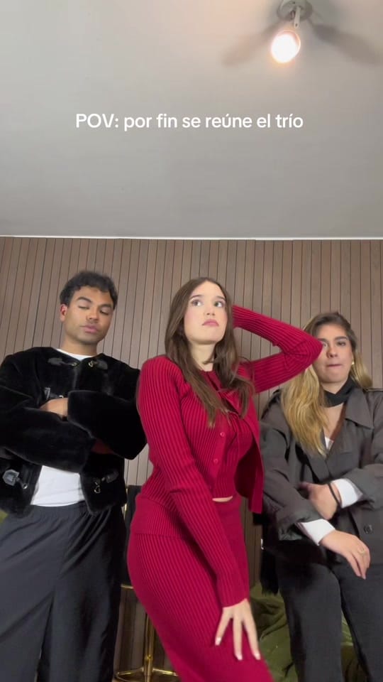 Post 10 by Flavia Martin on TikTok (video)