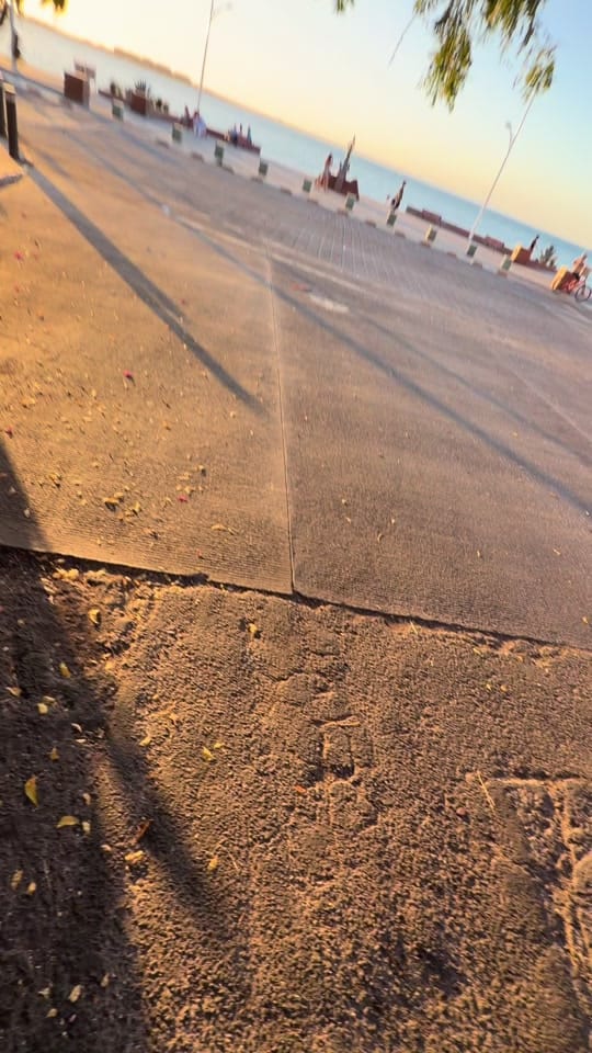 Post 4 by Emi Rosas 🤍 on TikTok (video)