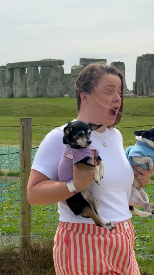 Post 4 by Amanda brought her dogs on TikTok (video)