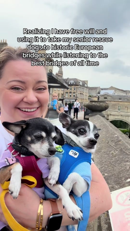 Post 3 by Amanda brought her dogs on TikTok (video)