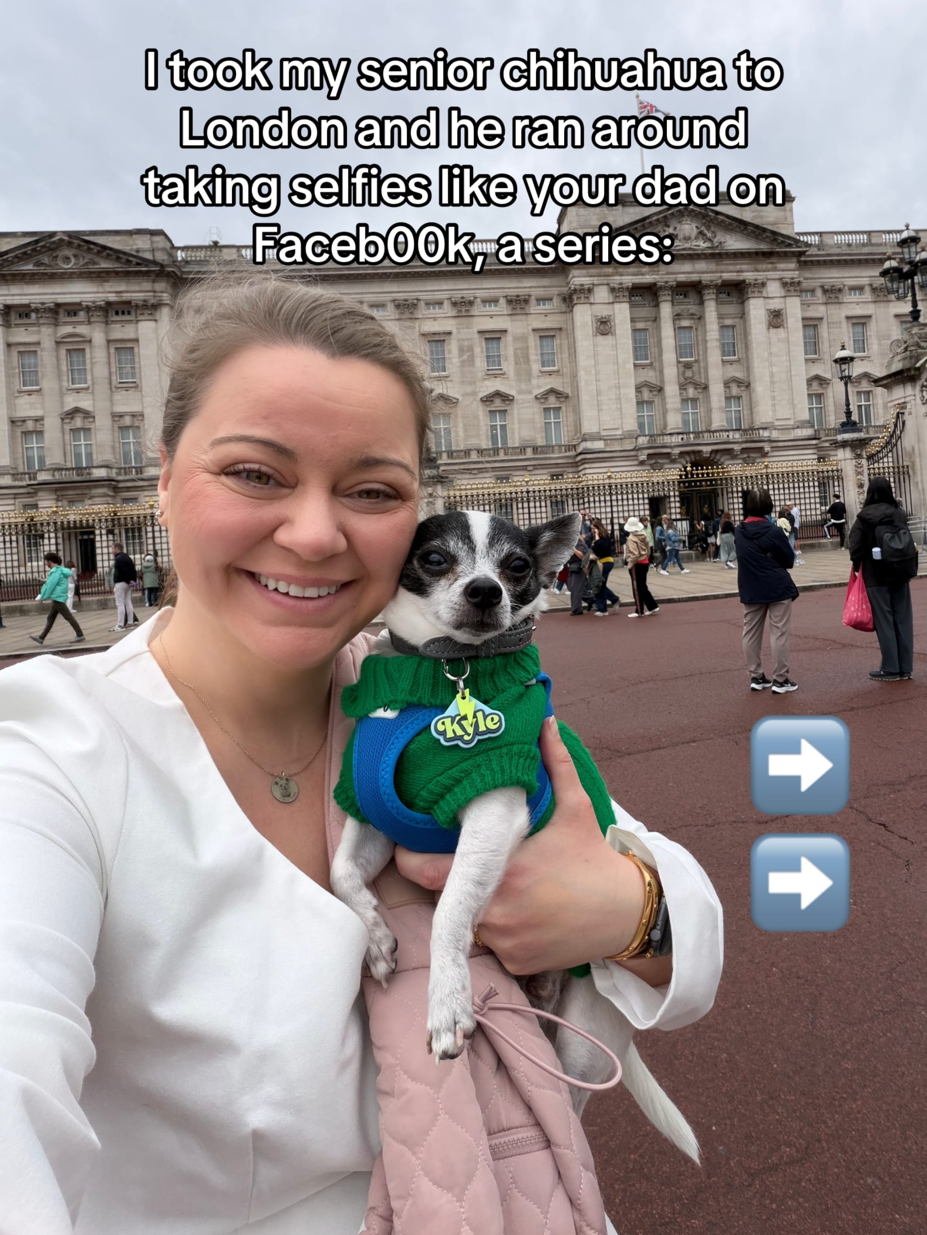 Post 2 by Amanda brought her dogs on TikTok (video)