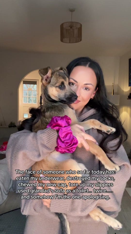 Post 6 by Leonie on TikTok (video)