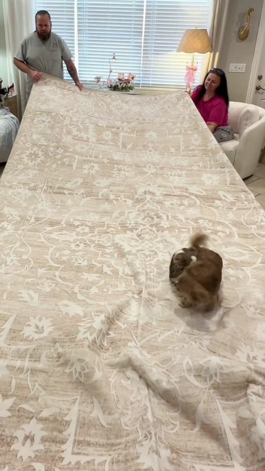 Post 10 by Danyeil 🎀 Declutters on TikTok (video)