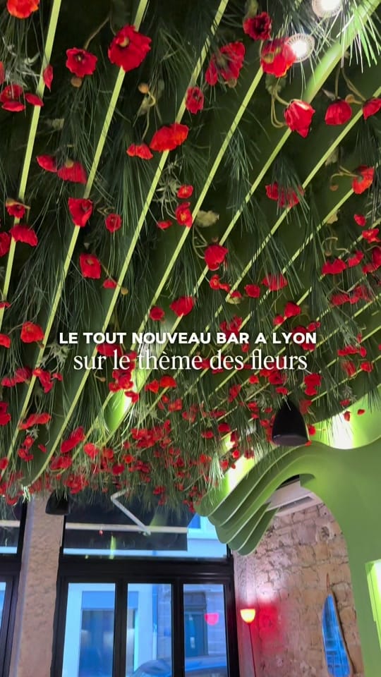 Post 3 by Carla | Bonnes adresses Lyon on TikTok (video)