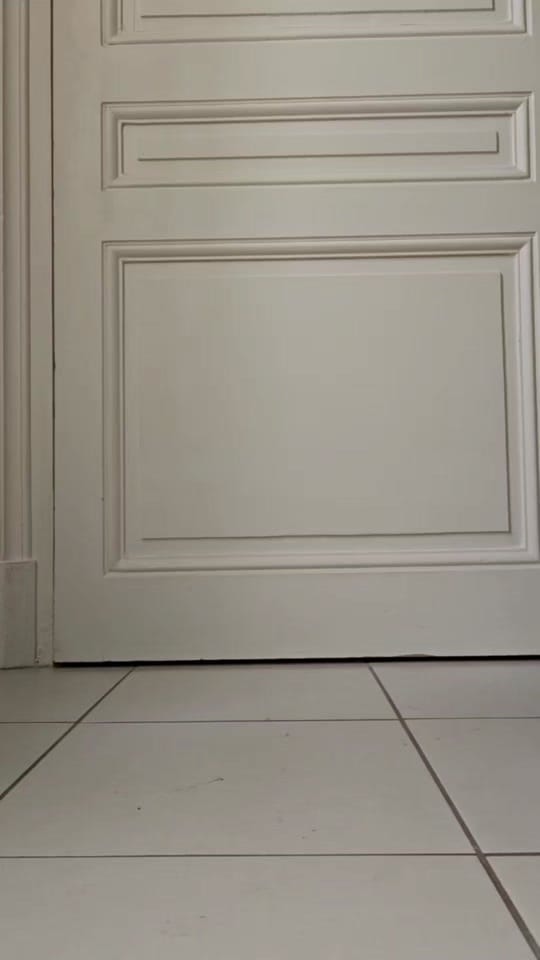 Post 7 by Allie N. on TikTok (video)