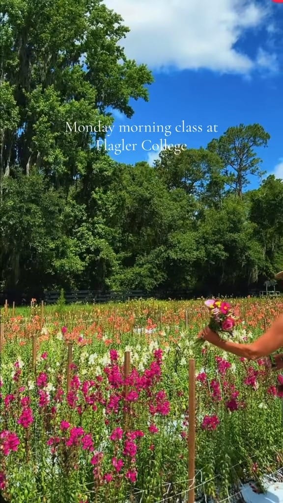 Post 7 by Flagler College on Instagram (video)