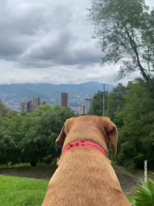 Post 6 by COLOMBIANTRAVEL☑️ on TikTok (video)