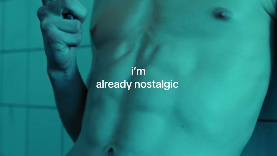Post 5 by applejoules on TikTok (video)