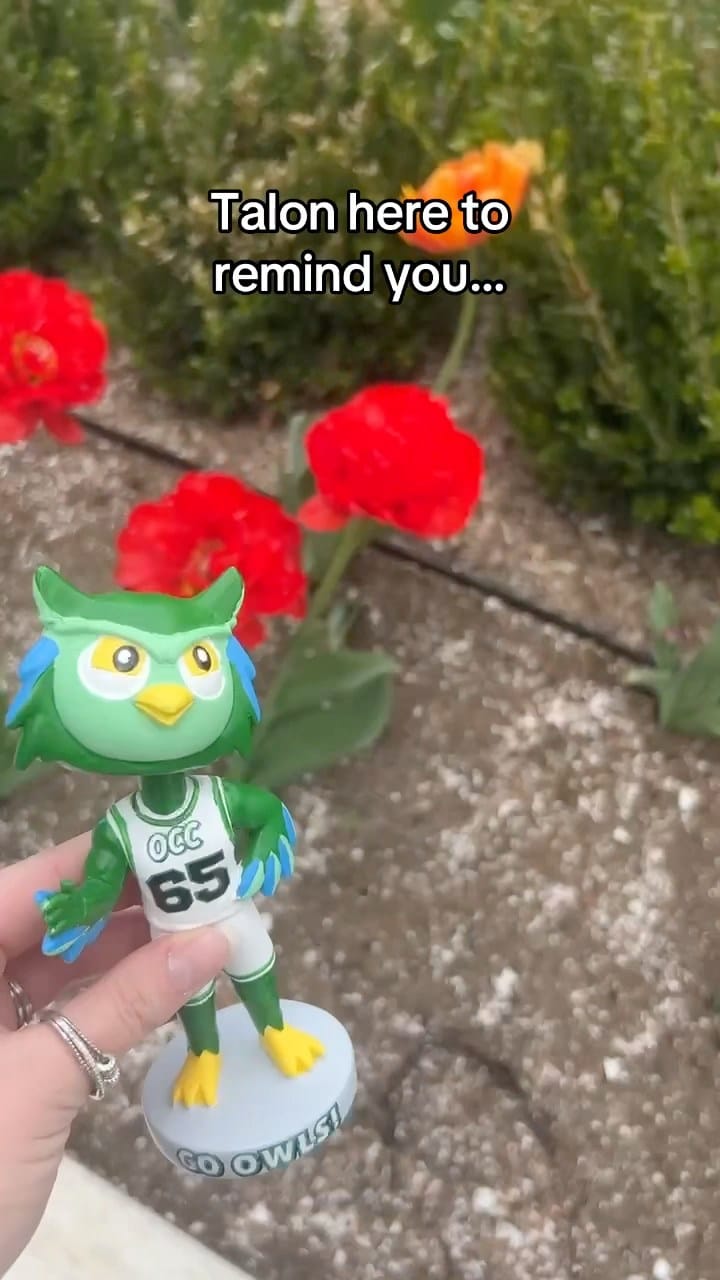 Post 4 by Oakland Community College on Instagram (video)