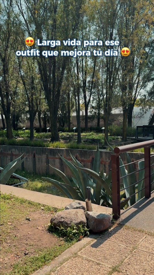 Post 3 by Lee Jeans México on TikTok (video)