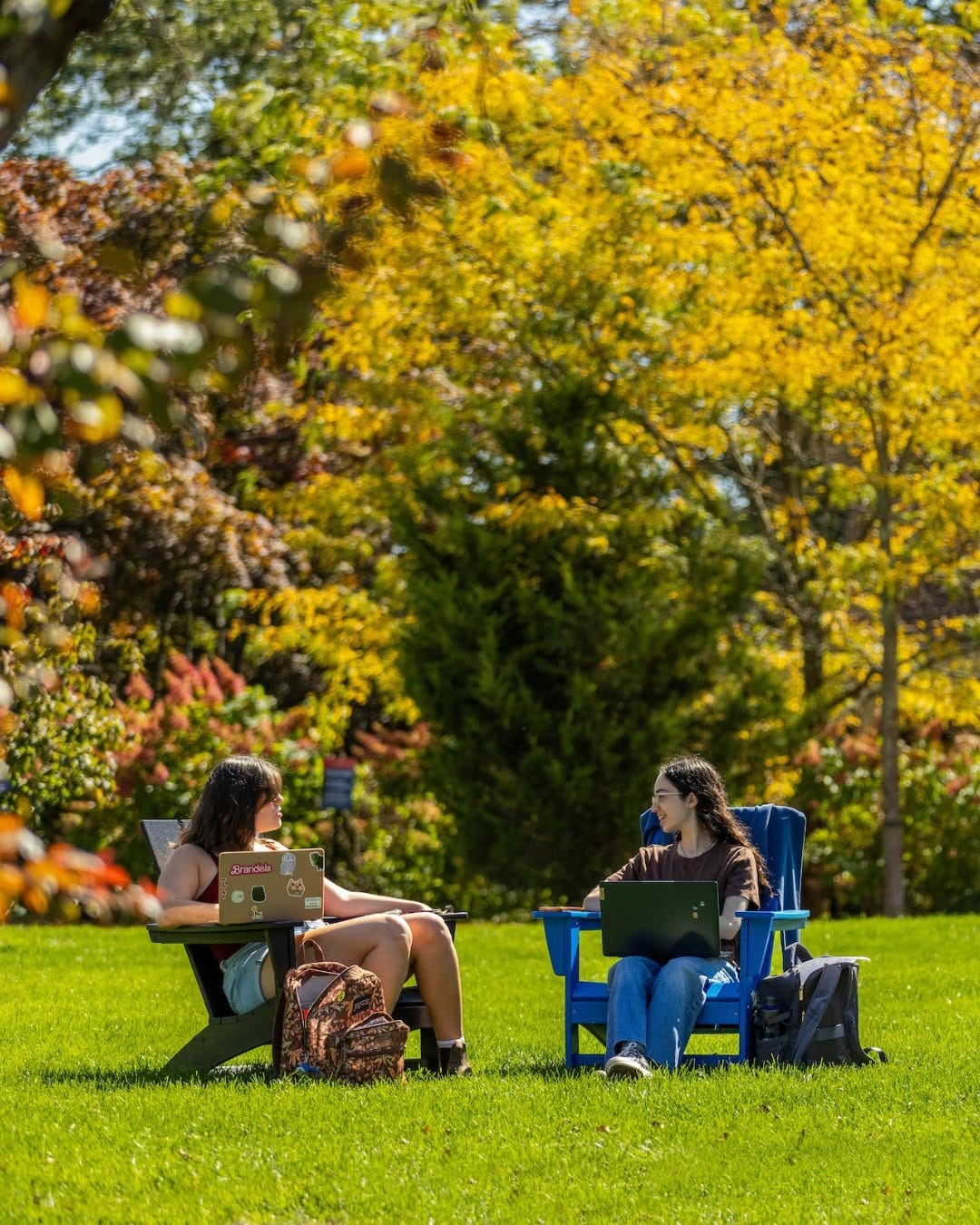Post 9 by Brandeis University on Instagram (carousel)
