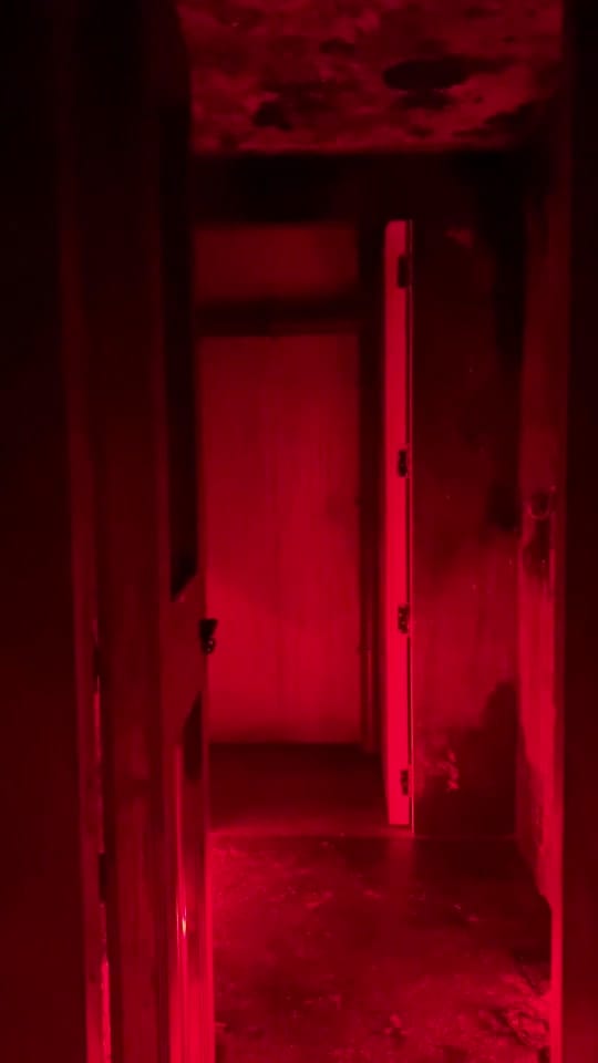 Post 5 by Bordeaux au Pif on TikTok (video)