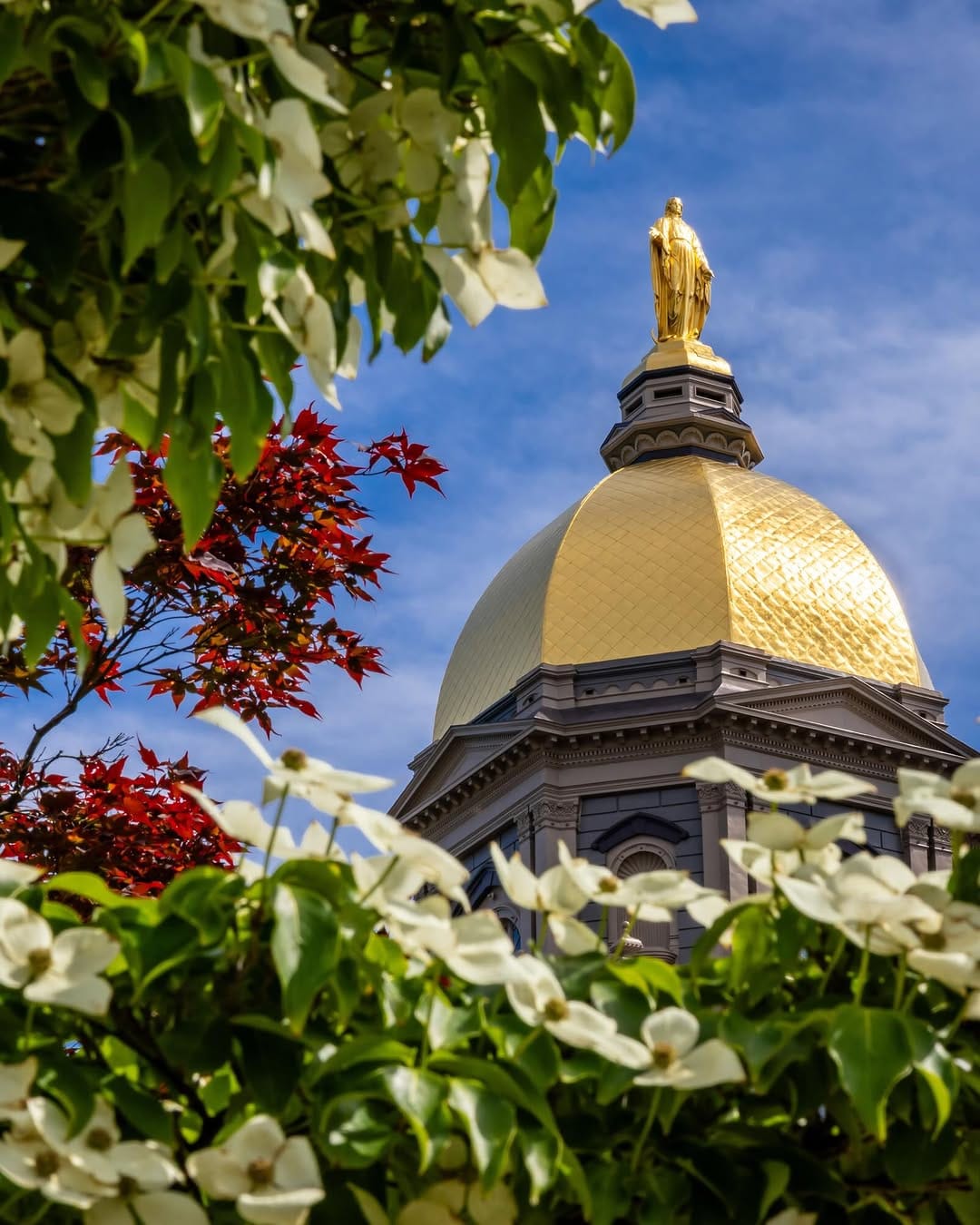 Post 7 by University of Notre Dame on Instagram (carousel)