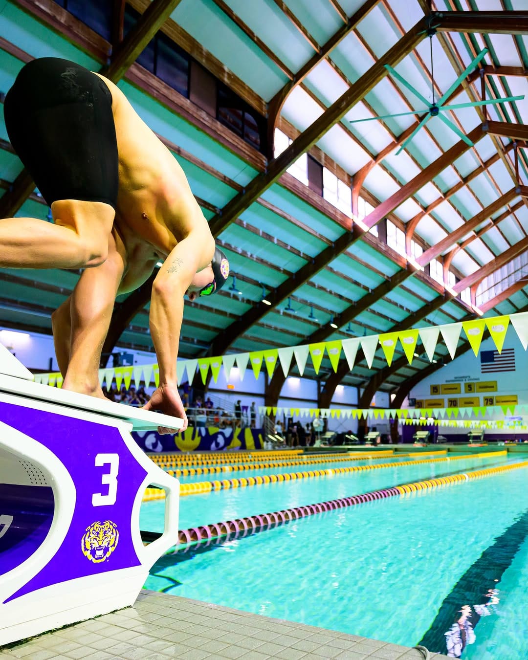 Post 3 by LSU Swimming & Diving on Instagram (carousel)