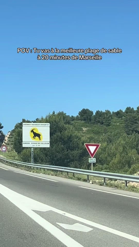 Post 4 by sortieaixmarseille on TikTok (video)