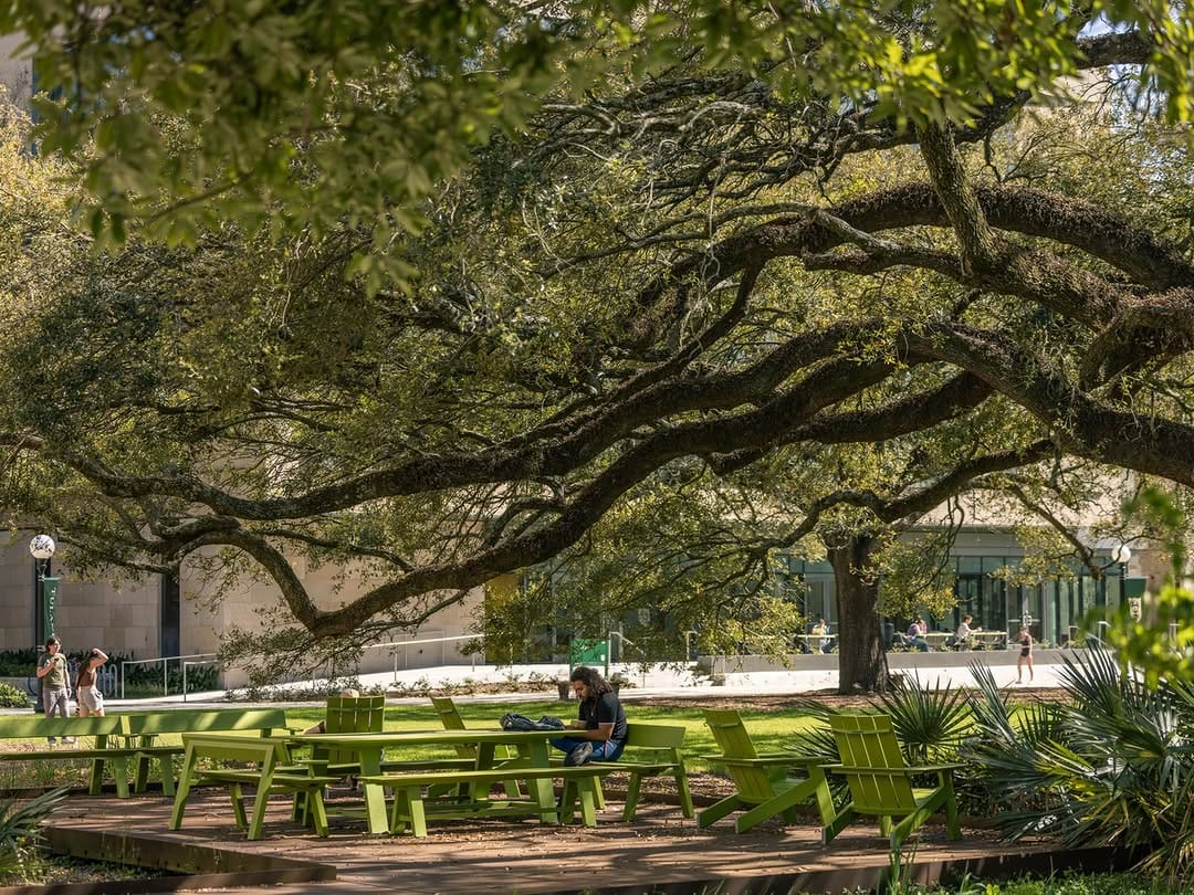 Post 3 by Tulane University on Instagram (carousel)