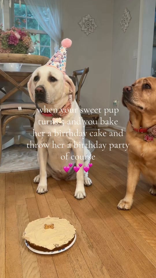 Post 4 by Francesha on TikTok (video)