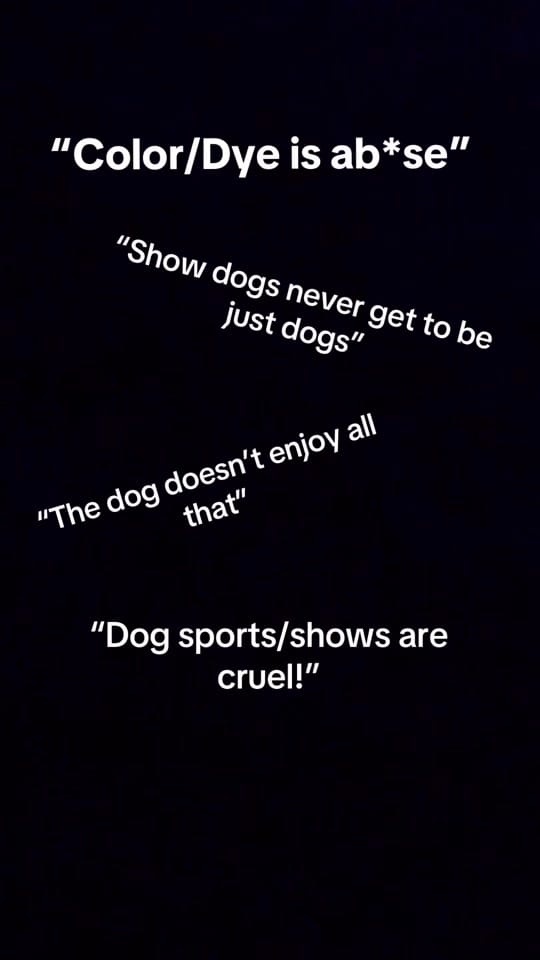Post 1 by BrittanyC on TikTok (video)