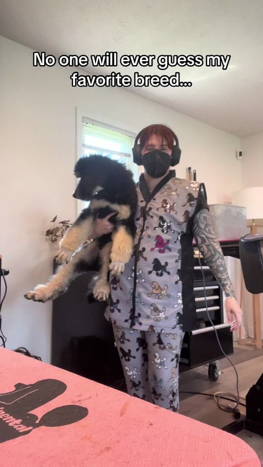 Post 7 by BrittanyC on TikTok (video)