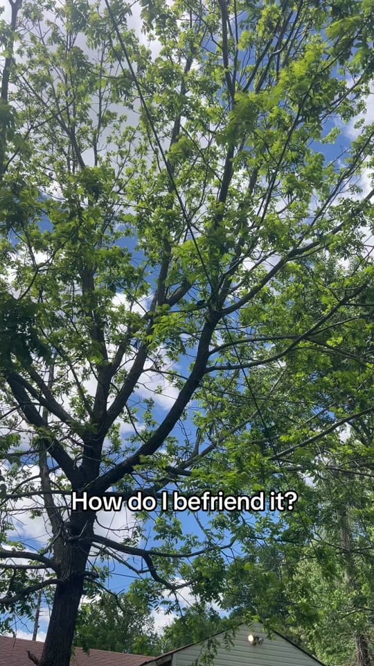 Post 4 by BrittanyC on TikTok (video)