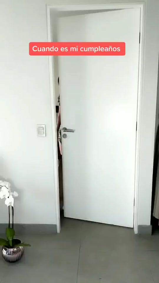 Post 6 by dressme_mx on TikTok (video)