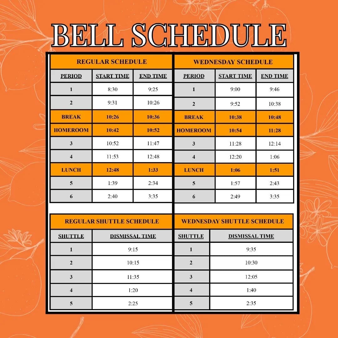 Post 10 by Central East Bengals on Instagram (image)