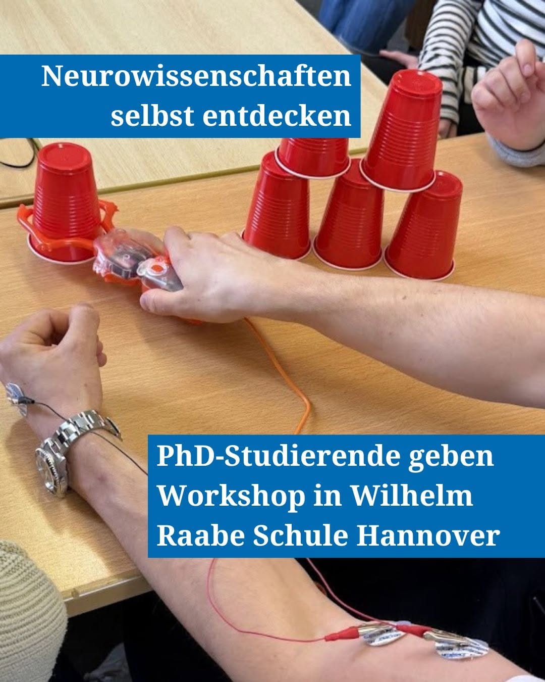 Post 7 by Stiftung Tierärztliche Hochschule Hannover on Instagram (carousel)