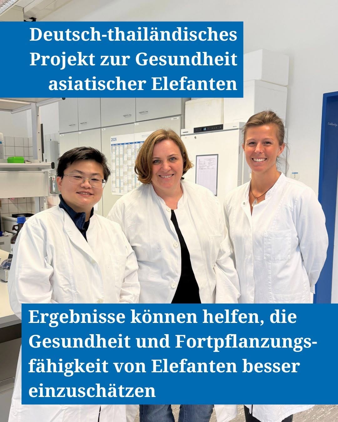 Post 10 by Stiftung Tierärztliche Hochschule Hannover on Instagram (image)