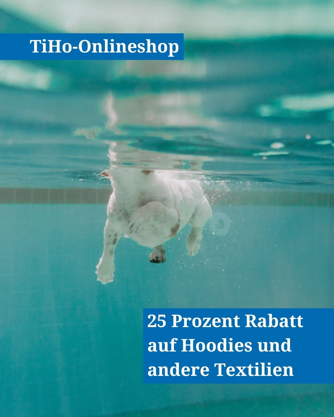 Post 8 by Stiftung Tierärztliche Hochschule Hannover on Instagram (image)