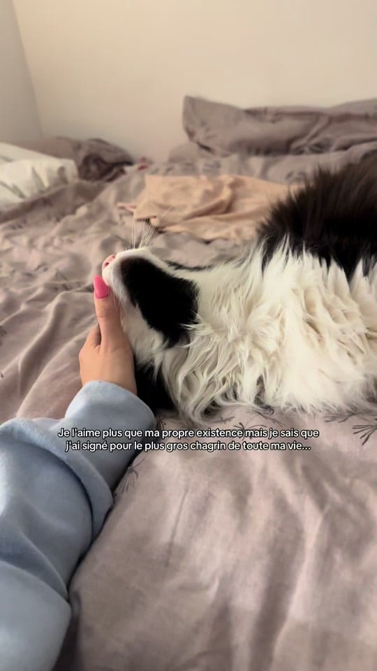 Post 2 by omblinedanjou on TikTok (video)