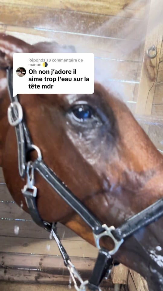 Post 6 by omblinedanjou on TikTok (video)