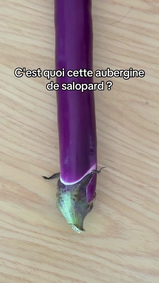 Post 5 by omblinedanjou on TikTok (video)