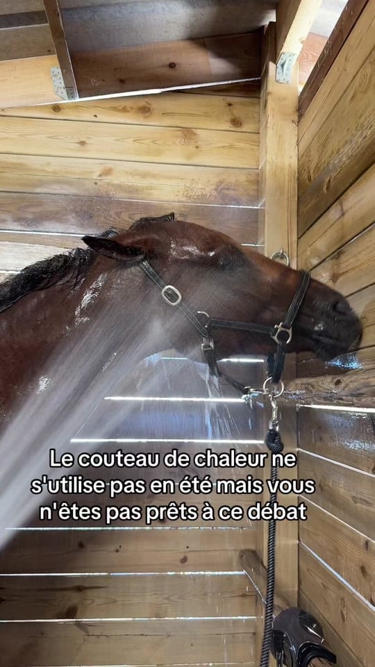Post 7 by omblinedanjou on TikTok (video)