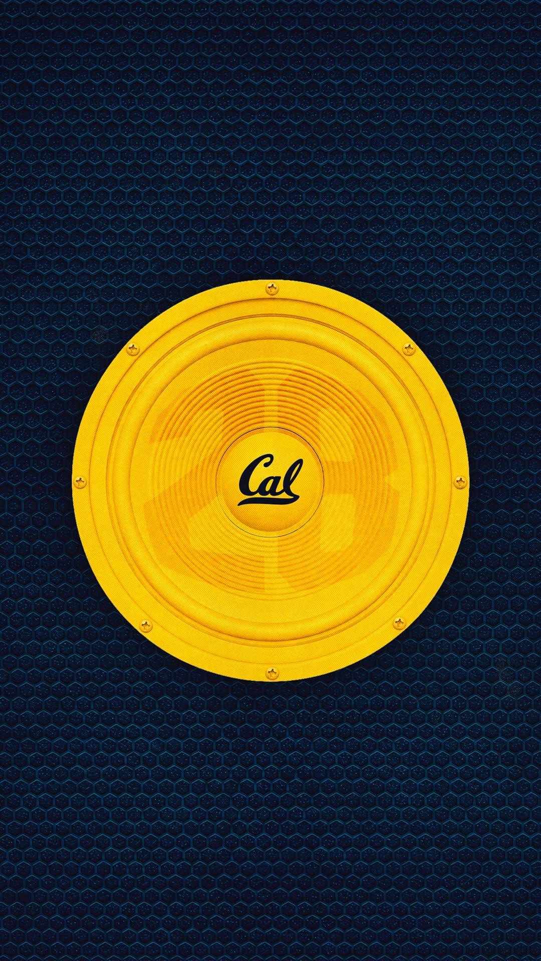 Post 3 by Cal Football on Instagram (video)