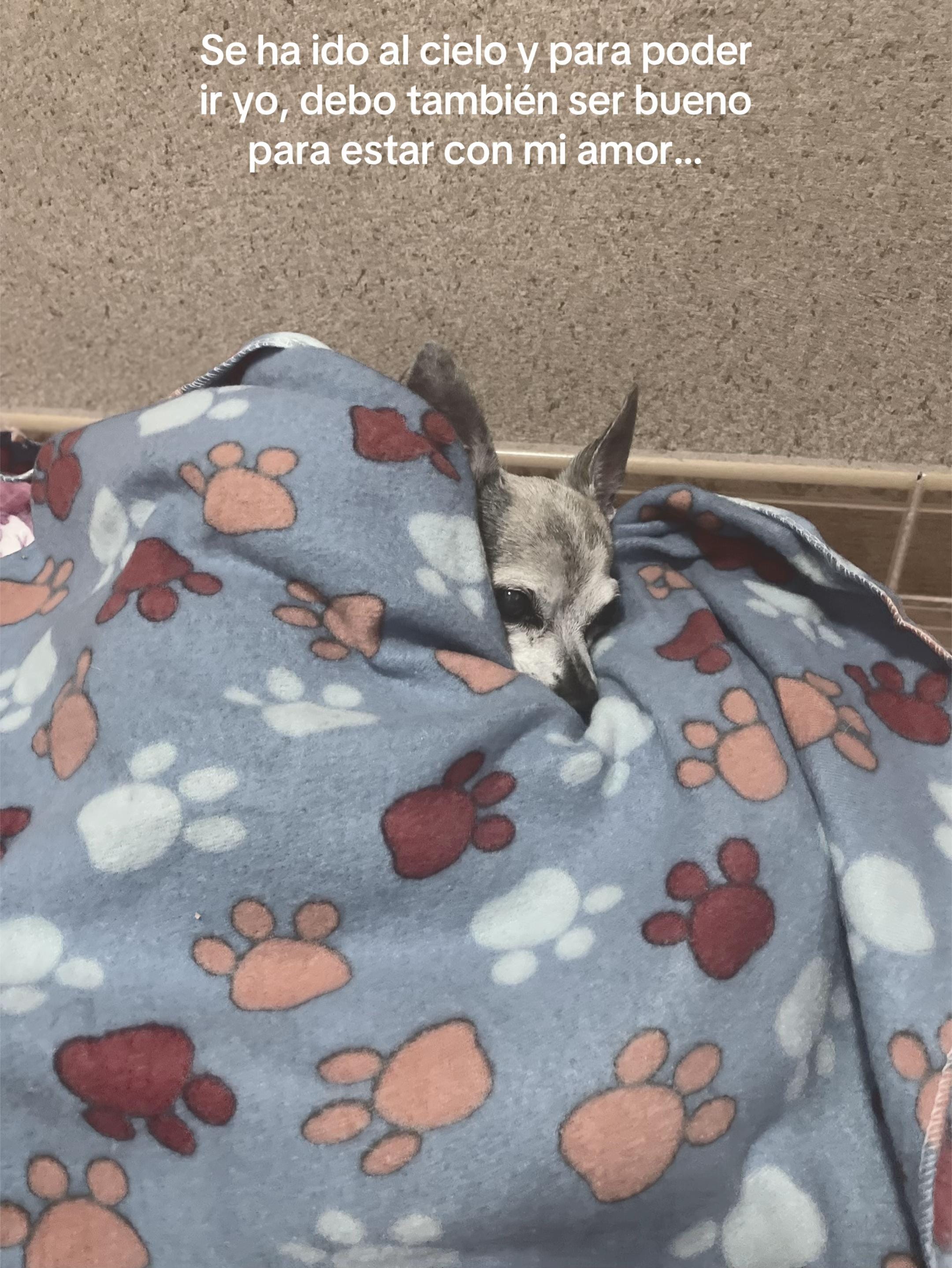 Post 2 by Feer Herrera on TikTok (video)