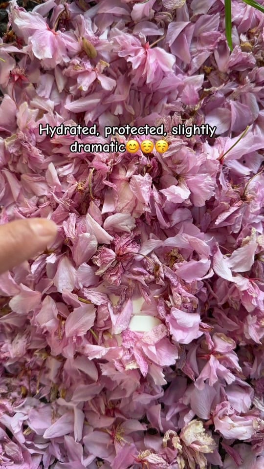 Post 6 by FIFI on TikTok (video)