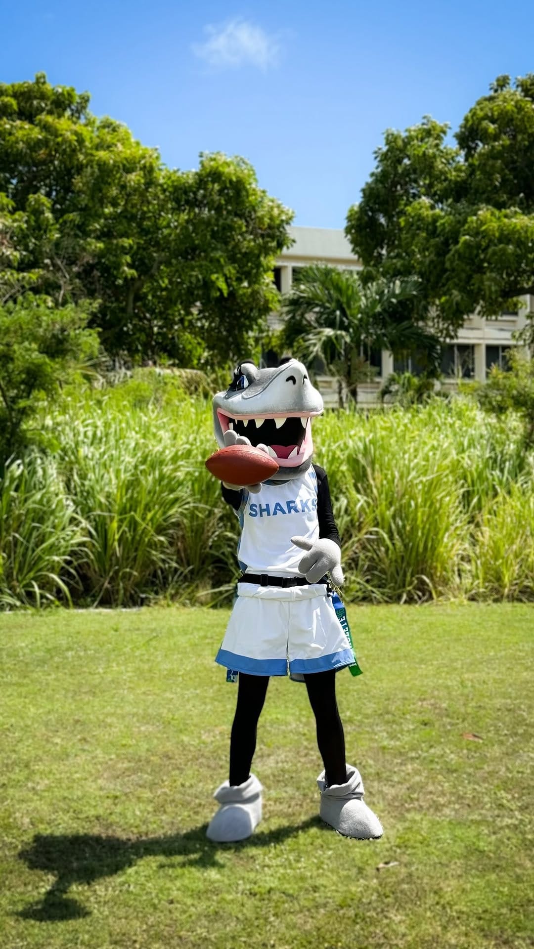 Post 9 by Hawaii Pacific University on Instagram (video)