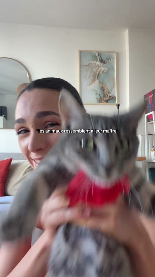 Post 4 by Amélie Diaz on TikTok (video)