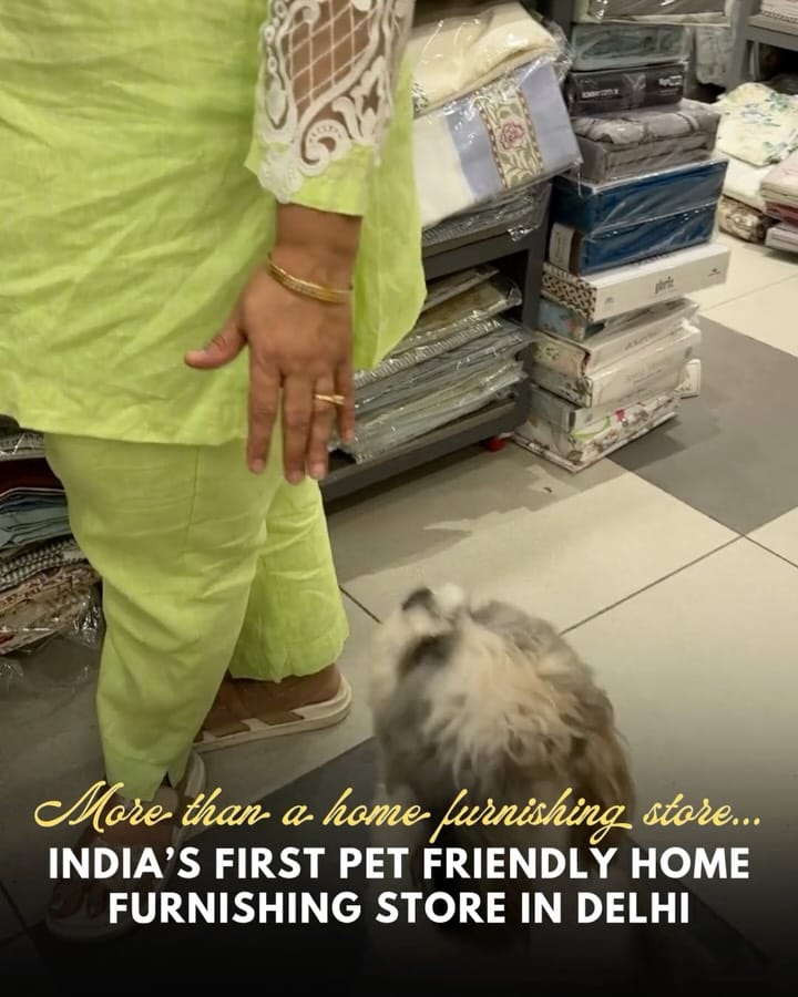 Post 3 by Bilberry Furnishing | Preeti Grover on Instagram (carousel)