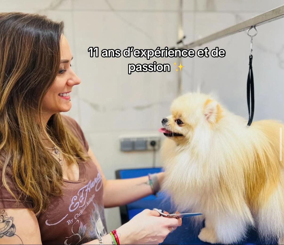 Post 9 by Petsochic on TikTok (video)