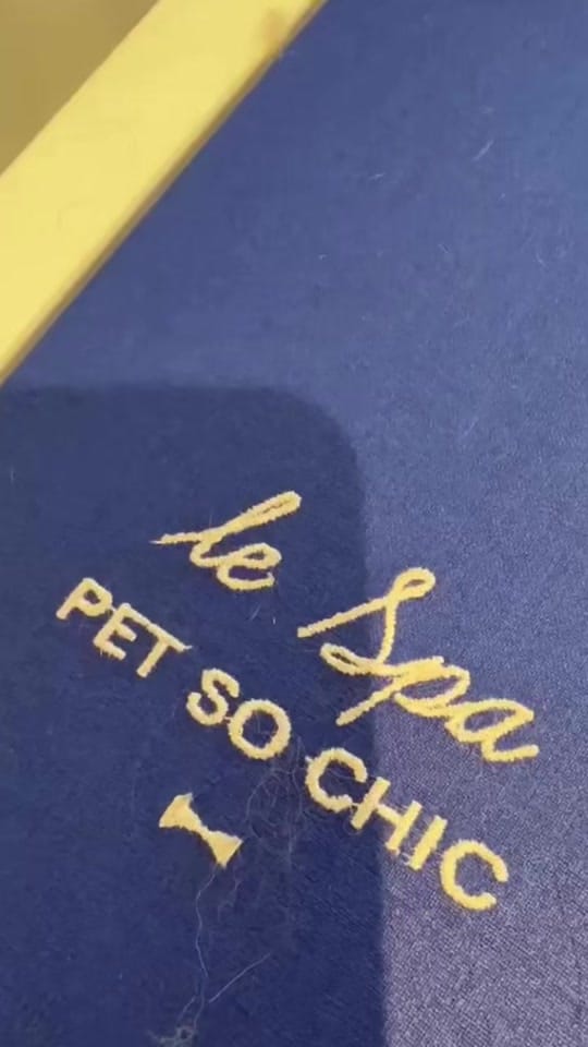 Post 1 by Petsochic on TikTok (video)