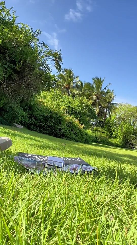 Post 1 by Ing.Pamela on TikTok (video)