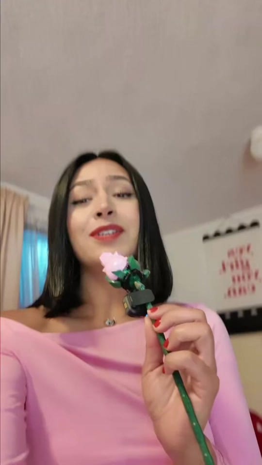 Post 5 by Araceli Colmarn on TikTok (video)