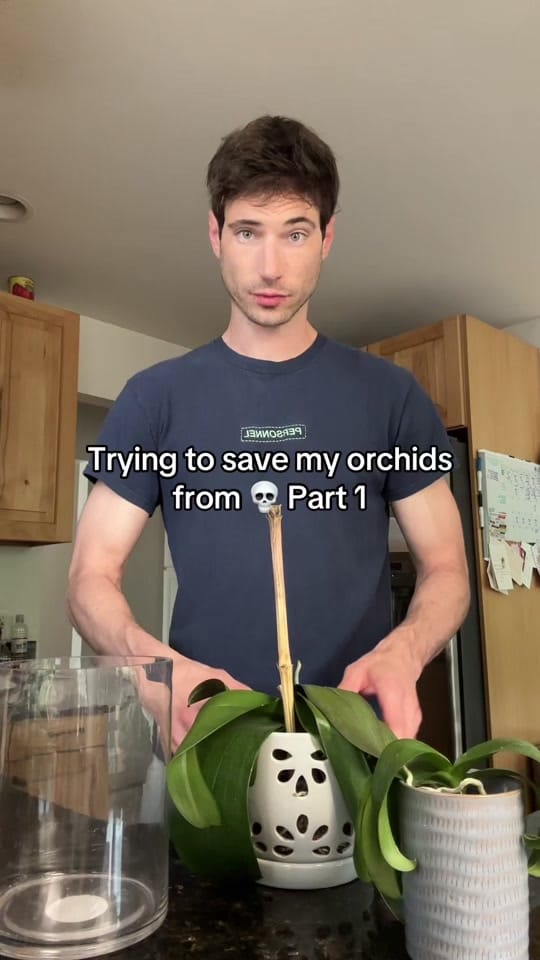Post 3 by Chris Flora on TikTok (video)