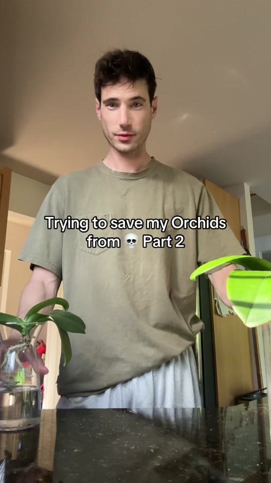 Post 2 by Chris Flora on TikTok (video)