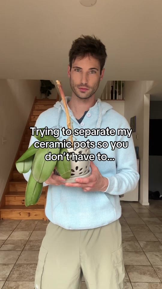 Post 7 by Chris Flora on TikTok (video)