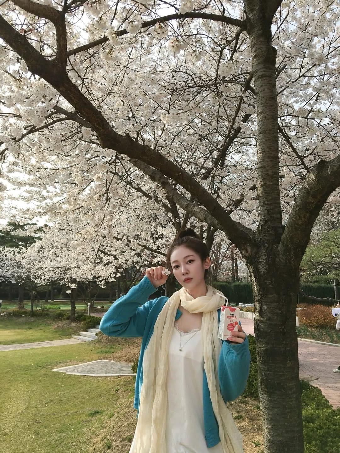 Post 5 by 송지우 on Instagram (carousel)