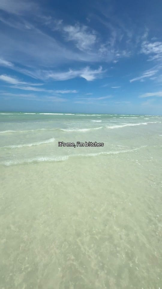 Post 4 by Lynzie on TikTok (video)