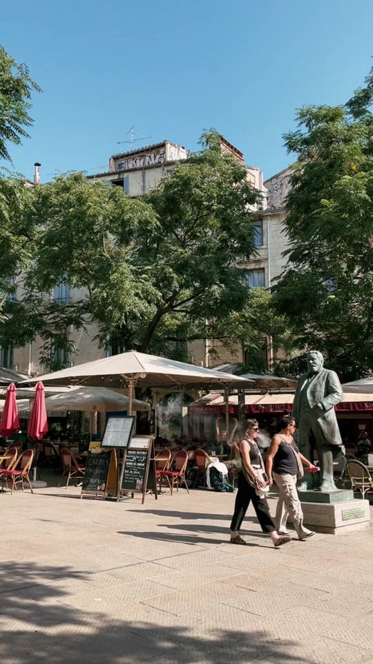 Post 3 by Montpellier Tourisme on TikTok (video)